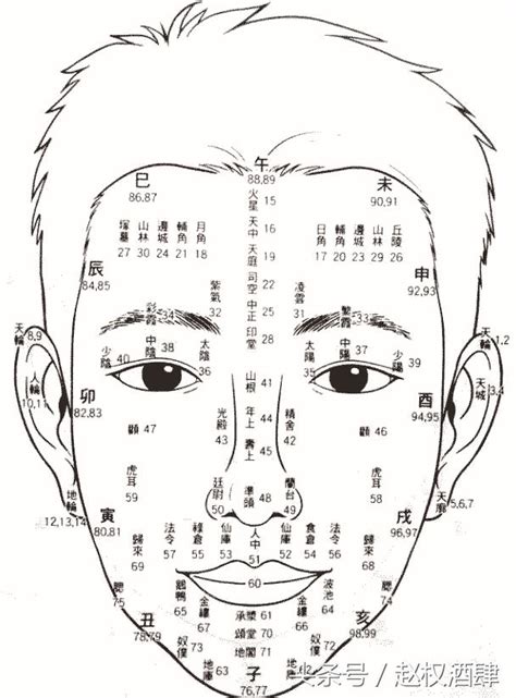 百歲流年圖